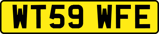 WT59WFE
