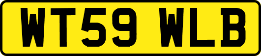 WT59WLB