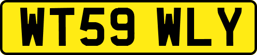 WT59WLY