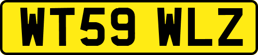 WT59WLZ
