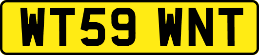 WT59WNT