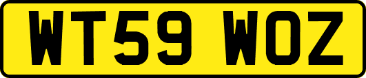 WT59WOZ