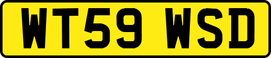 WT59WSD