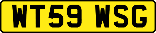 WT59WSG