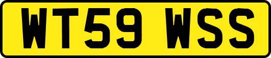 WT59WSS
