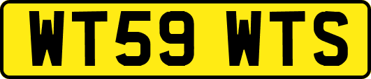 WT59WTS
