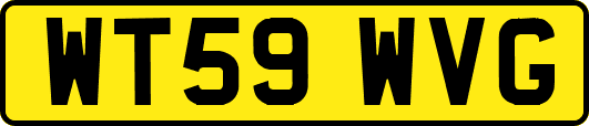 WT59WVG