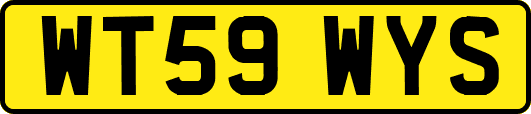 WT59WYS