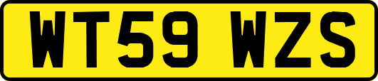 WT59WZS