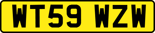WT59WZW