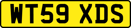 WT59XDS