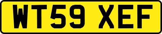 WT59XEF