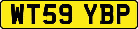 WT59YBP