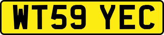 WT59YEC