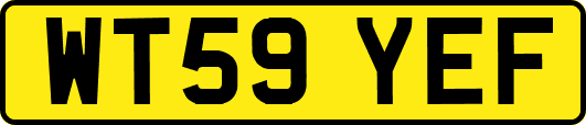 WT59YEF