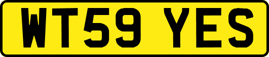 WT59YES