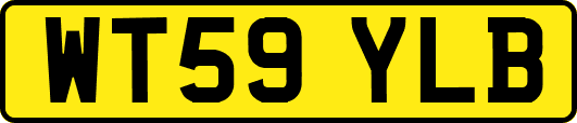 WT59YLB