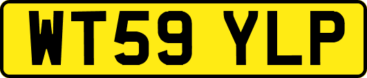 WT59YLP