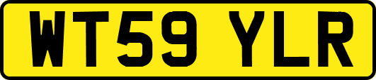 WT59YLR