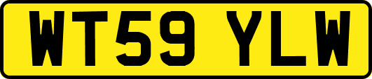 WT59YLW
