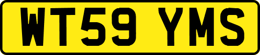 WT59YMS