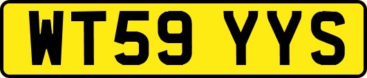 WT59YYS
