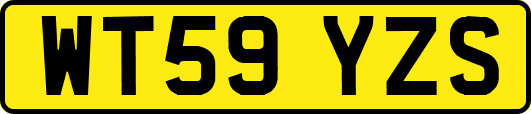 WT59YZS