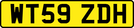 WT59ZDH