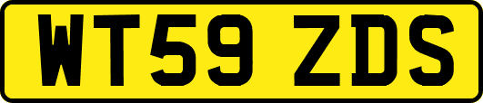 WT59ZDS