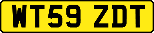 WT59ZDT