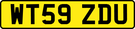 WT59ZDU