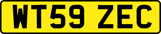WT59ZEC