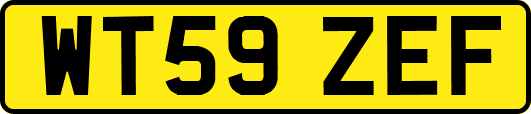 WT59ZEF