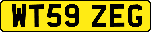WT59ZEG