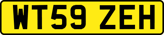 WT59ZEH