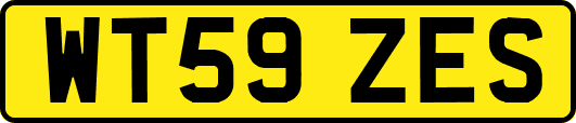 WT59ZES