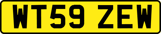 WT59ZEW