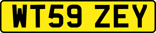WT59ZEY