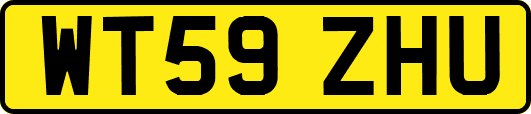 WT59ZHU