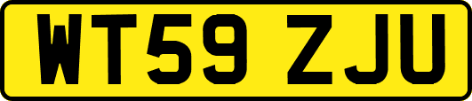 WT59ZJU