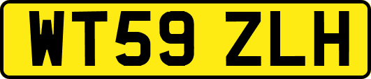 WT59ZLH