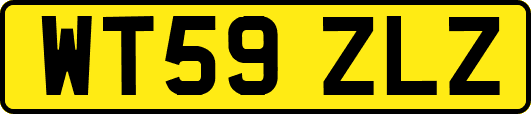 WT59ZLZ