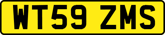 WT59ZMS
