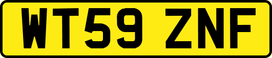 WT59ZNF