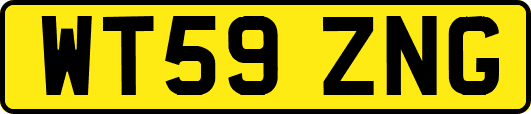 WT59ZNG