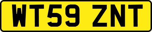 WT59ZNT