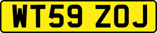 WT59ZOJ