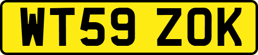 WT59ZOK