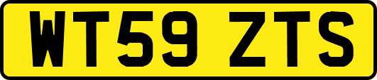 WT59ZTS