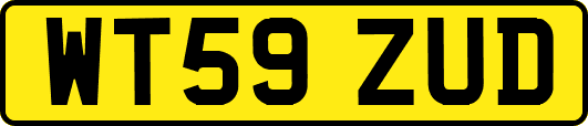 WT59ZUD